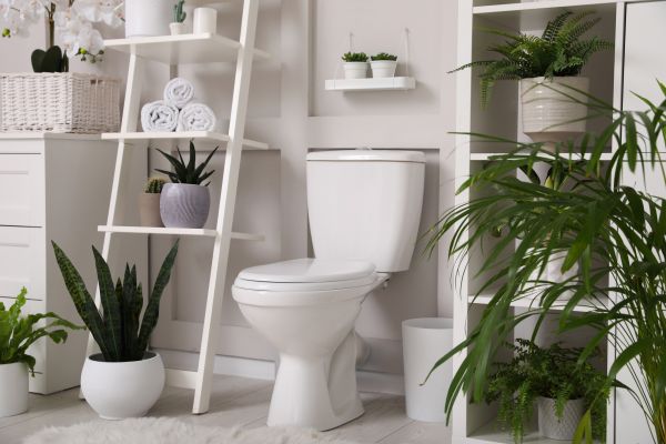 Toilet Repair in Kokomo