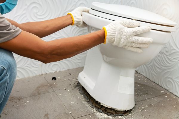Cost of Toilet Removal in Kokomo