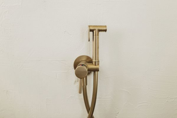 Bidet Plumbing in Kokomo
